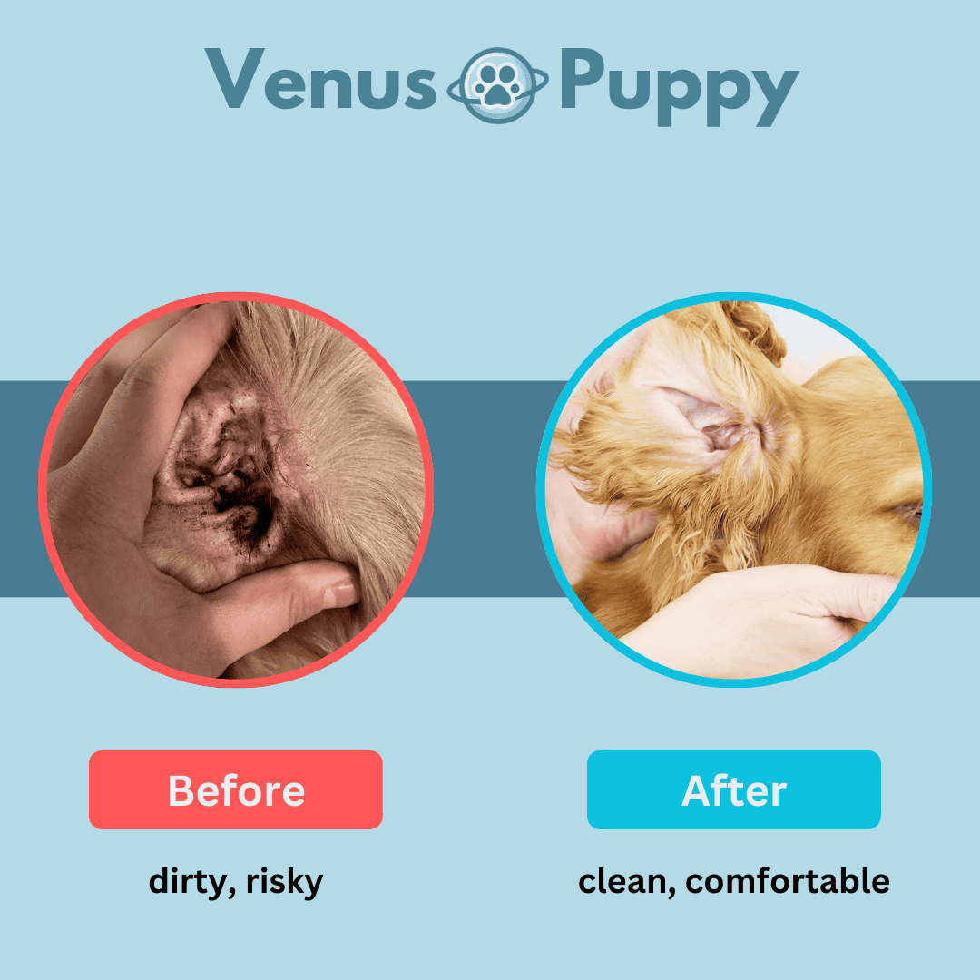 Venus - Comfort Wipes