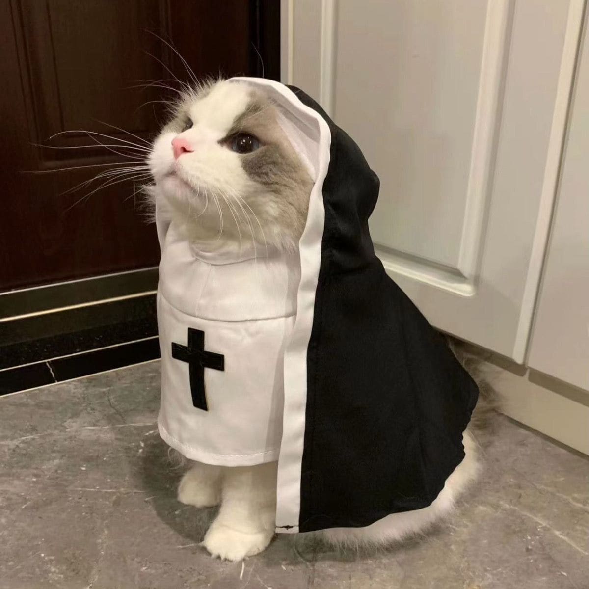 NUN Costume