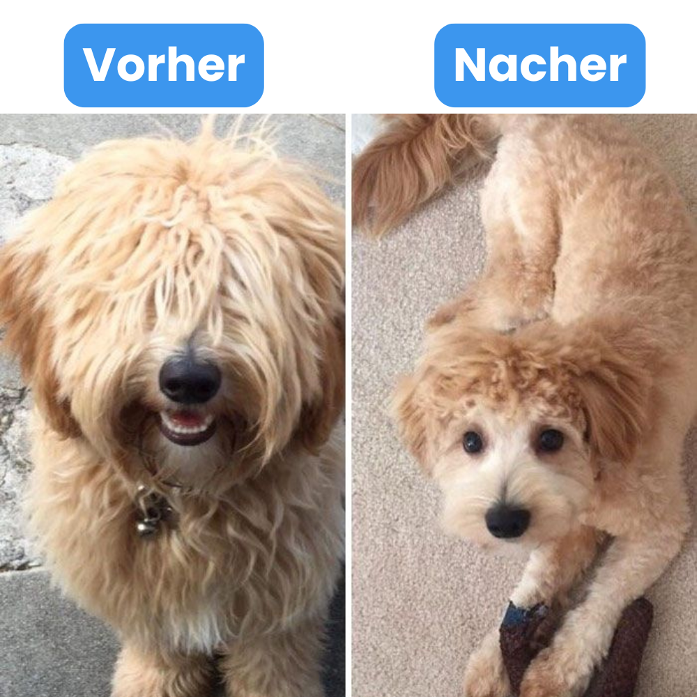 FellFix™ Staubsauger