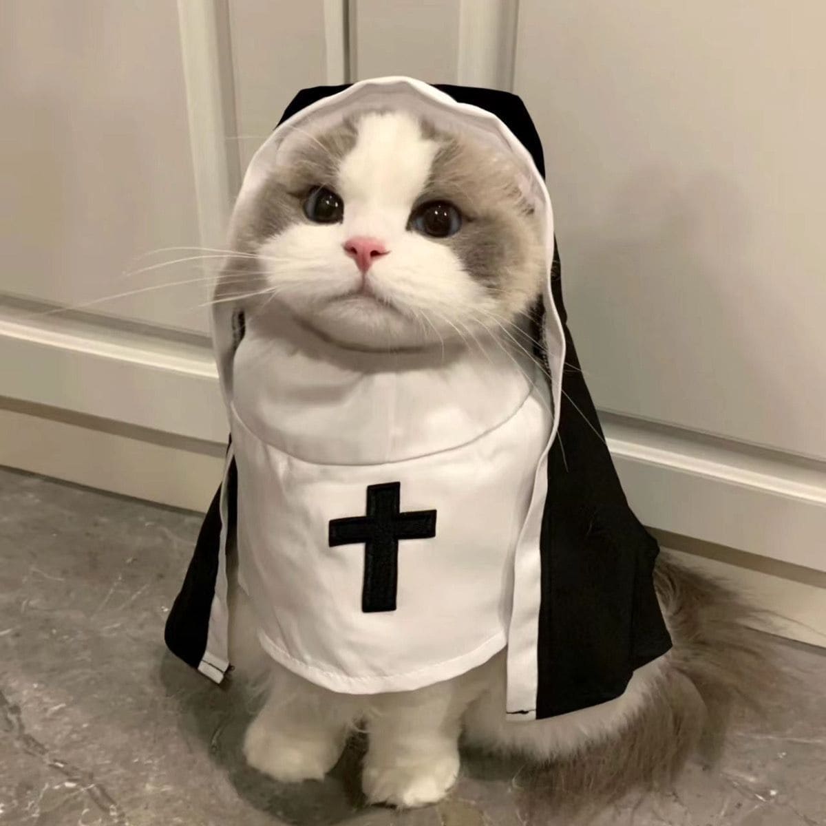 NUN Costume
