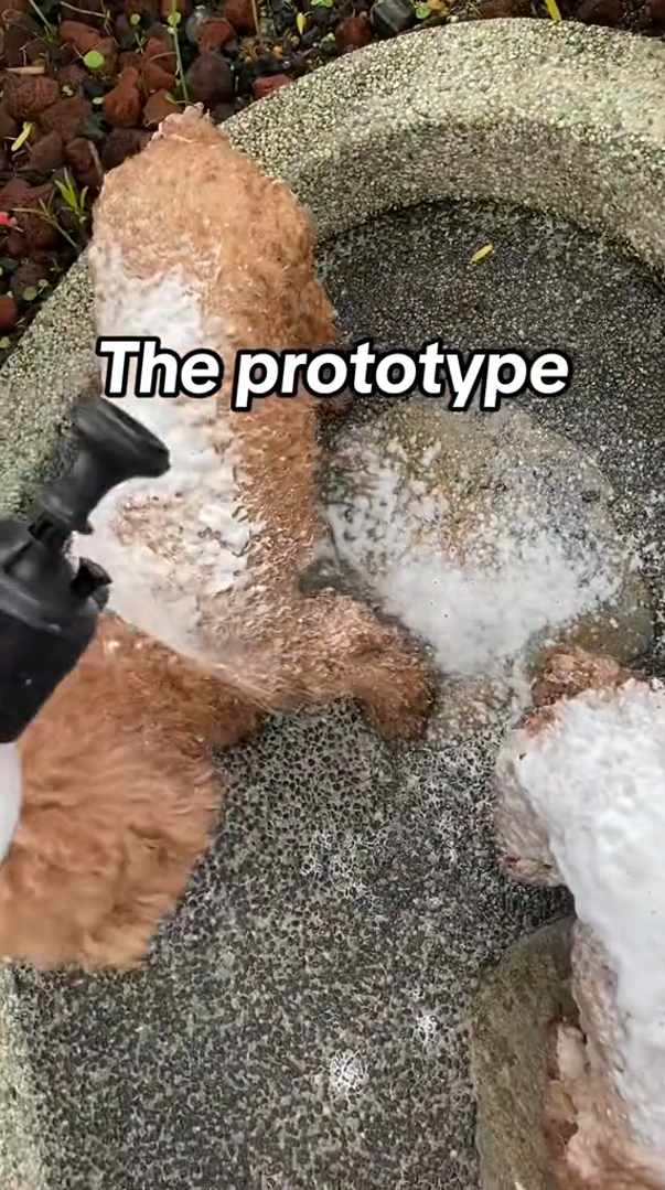 Alt image